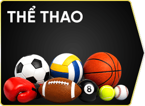 thể thao vz